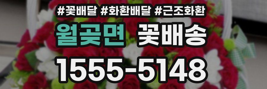 월곶면 꽃배송