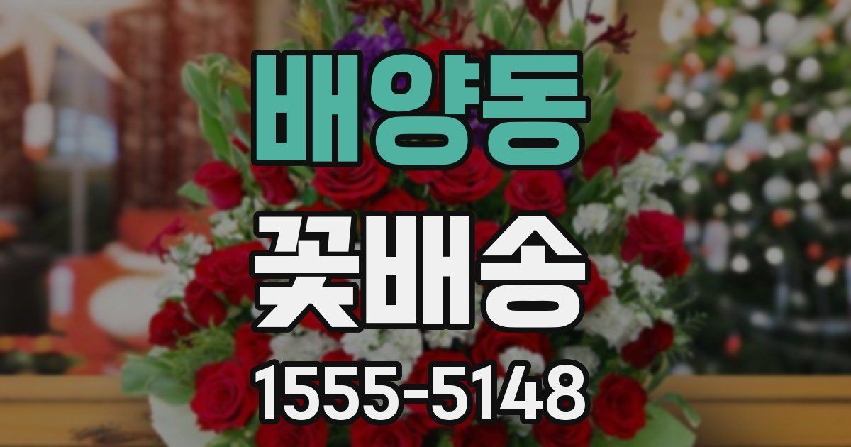 배양동 꽃배송