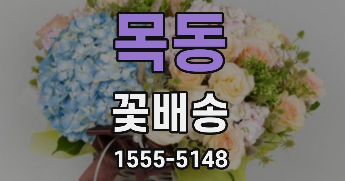 목동 꽃배송