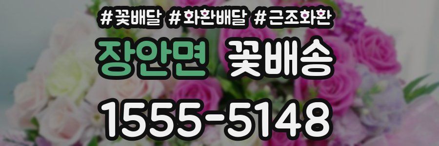 장안면 꽃배송