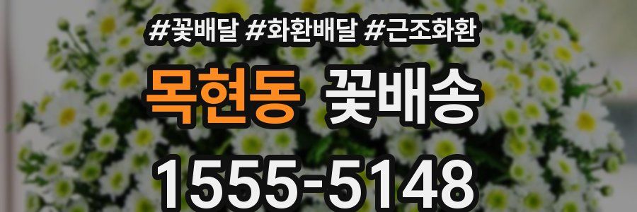 목현동 꽃배송