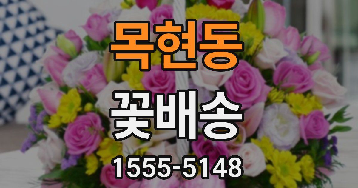 목현동 꽃배송