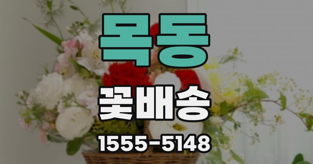 목동 꽃배송