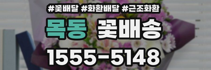 목동 꽃배송