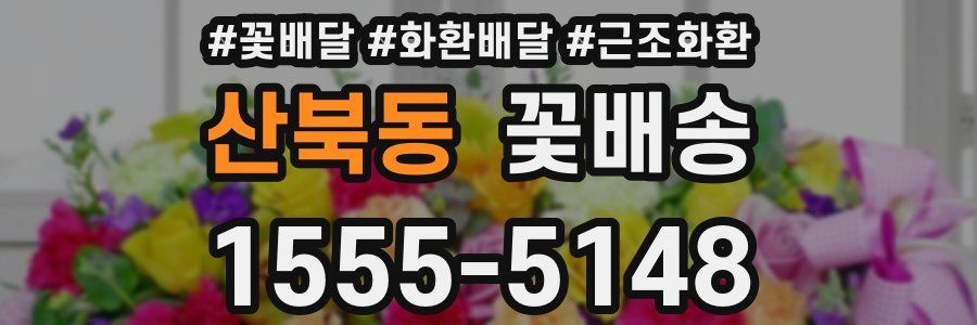 산북동 꽃배송