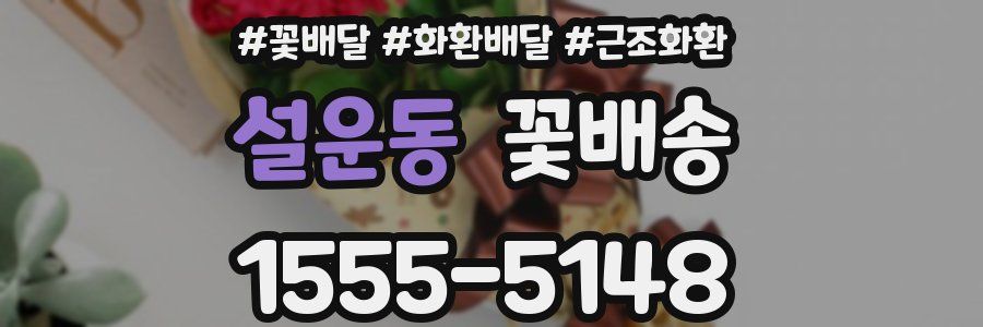 설운동 꽃배송
