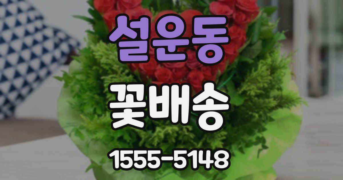 설운동 꽃배송