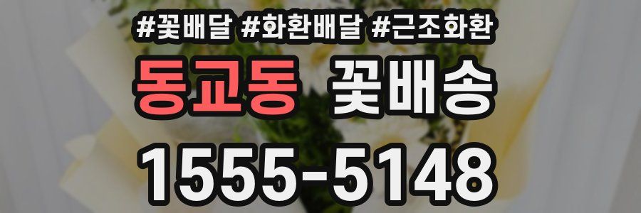 동교동 꽃배송