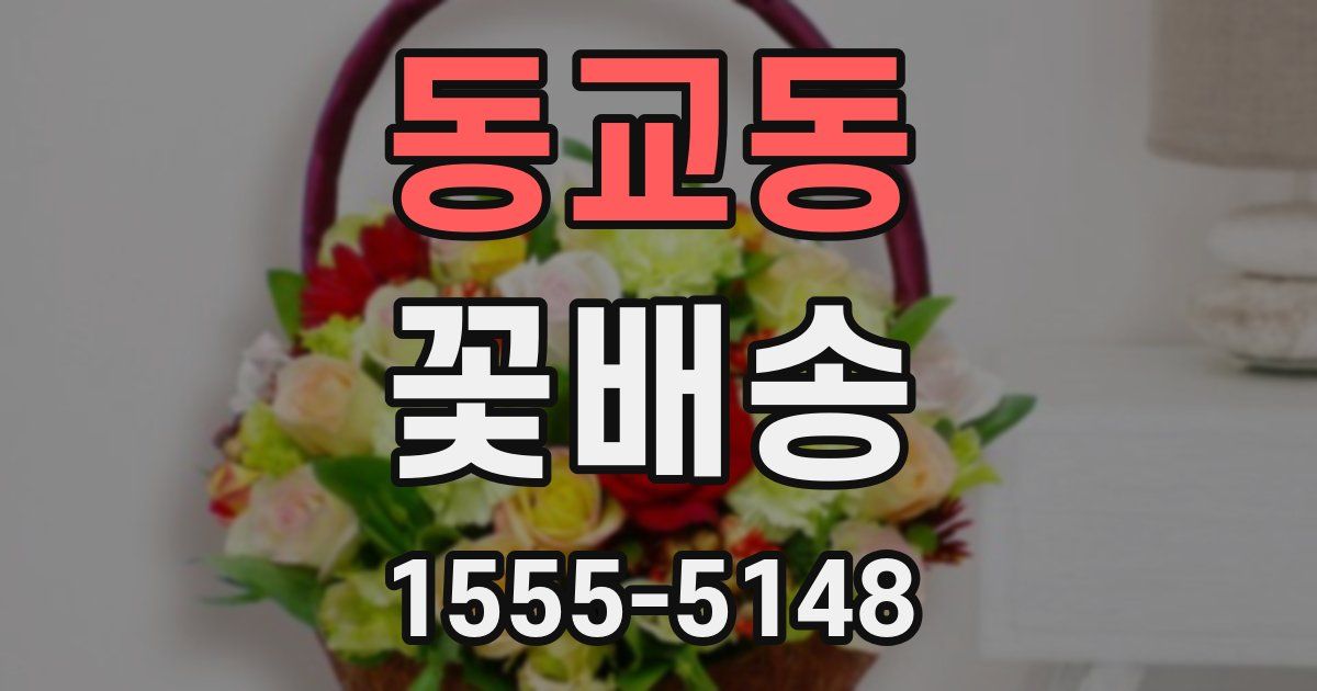 동교동 꽃배송