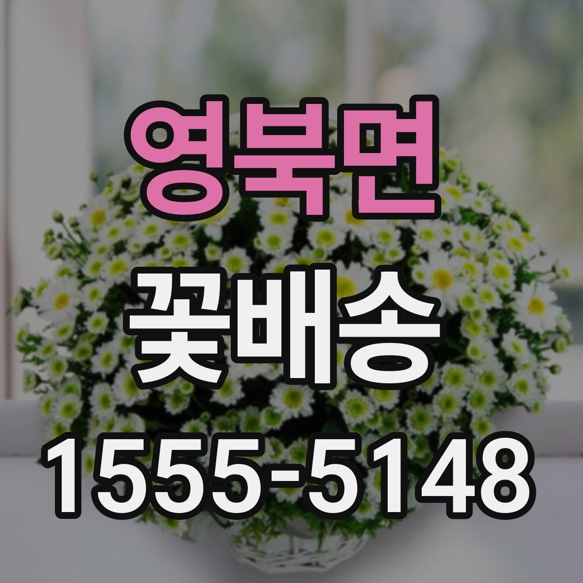영북면 꽃배송