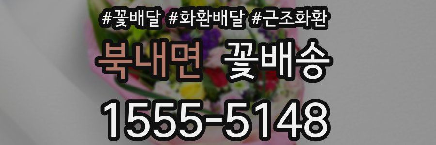 북내면 꽃배송