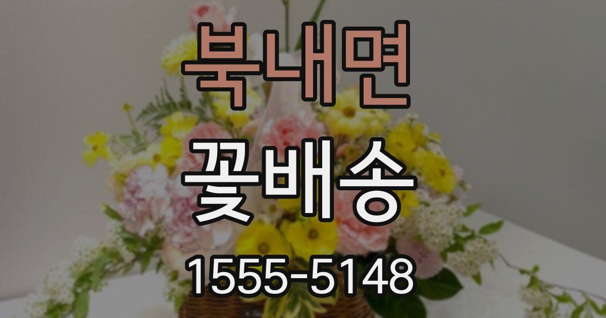 북내면 꽃배송