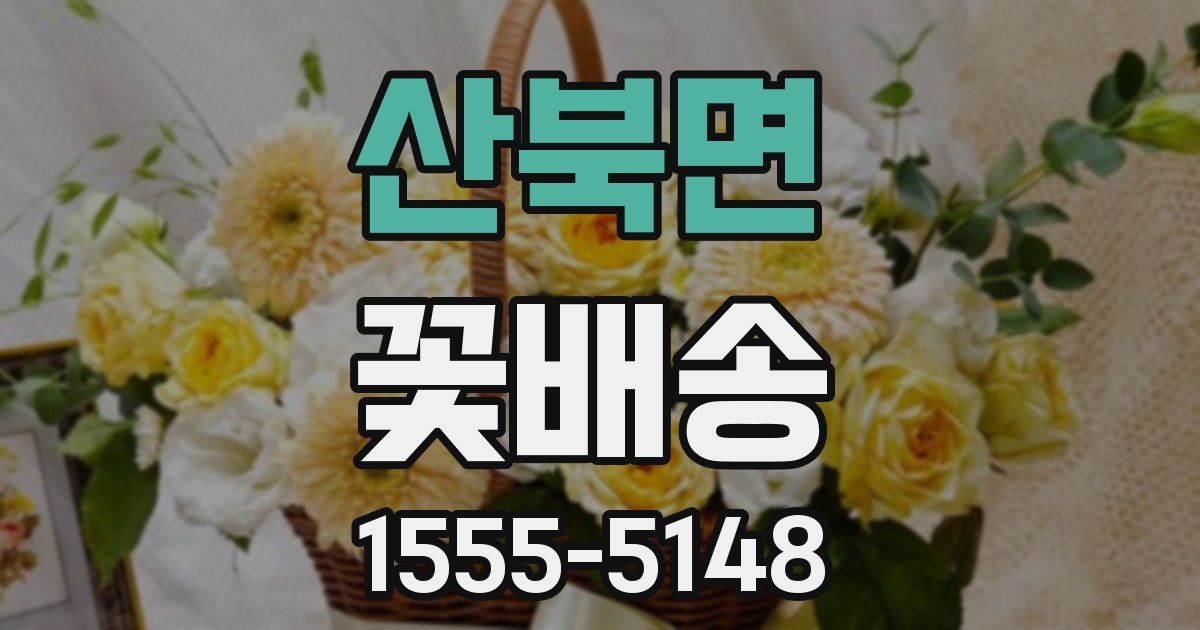 산북면 꽃배송