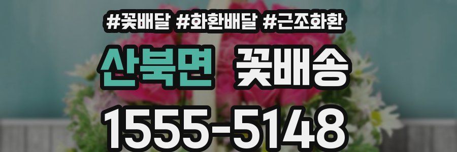 산북면 꽃배송