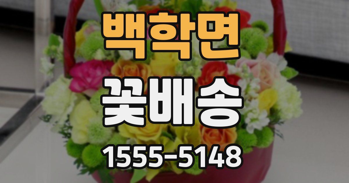 백학면 꽃배송