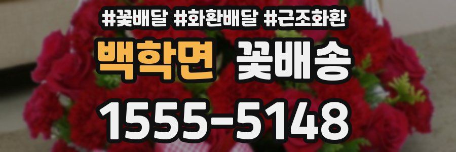 백학면 꽃배송