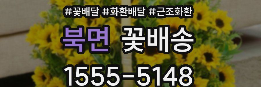 북면 꽃배송
