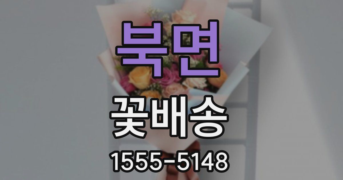 북면 꽃배송