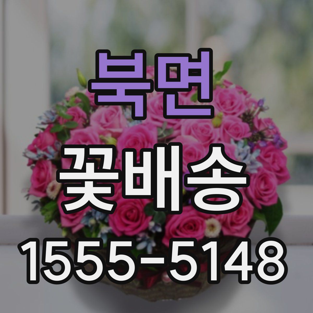 북면 꽃배송
