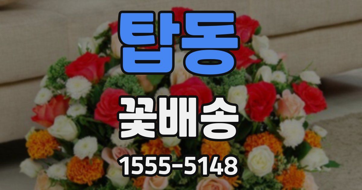 탑동 꽃배송