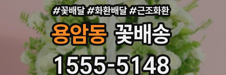 용암동 꽃배송