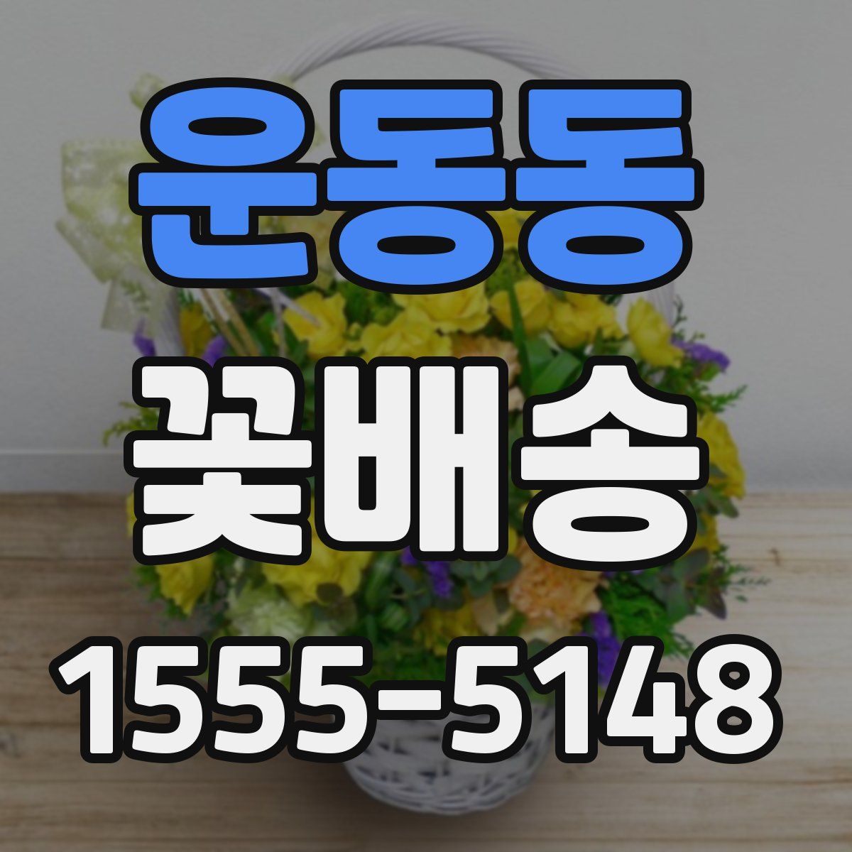 운동동 꽃배송