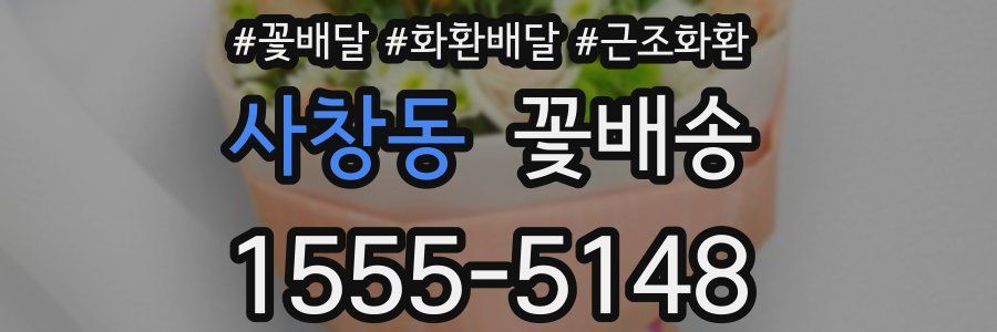 사창동 꽃배송