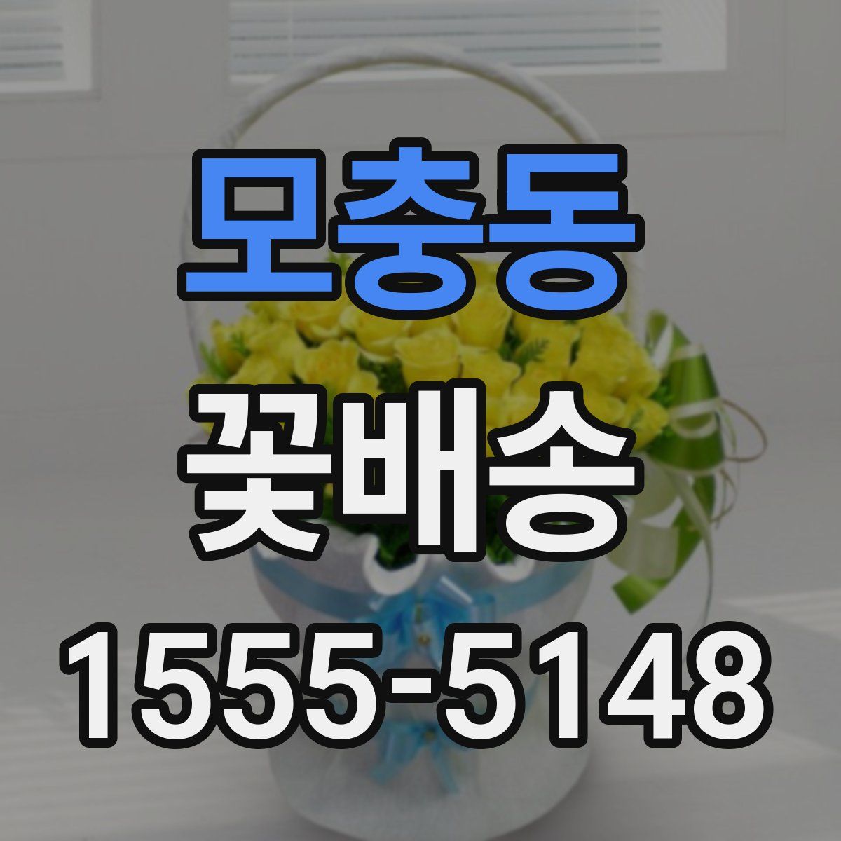 모충동 꽃배송