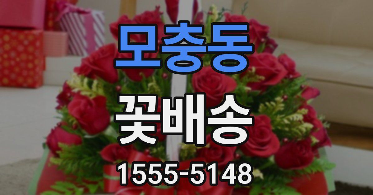 모충동 꽃배송