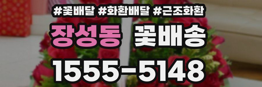 장성동 꽃배송