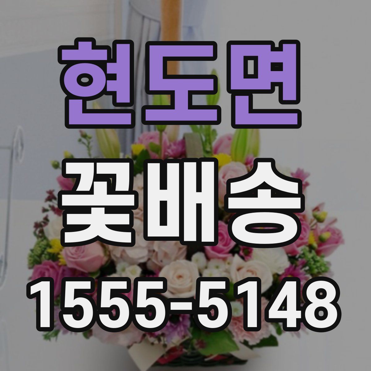 현도면 꽃배송