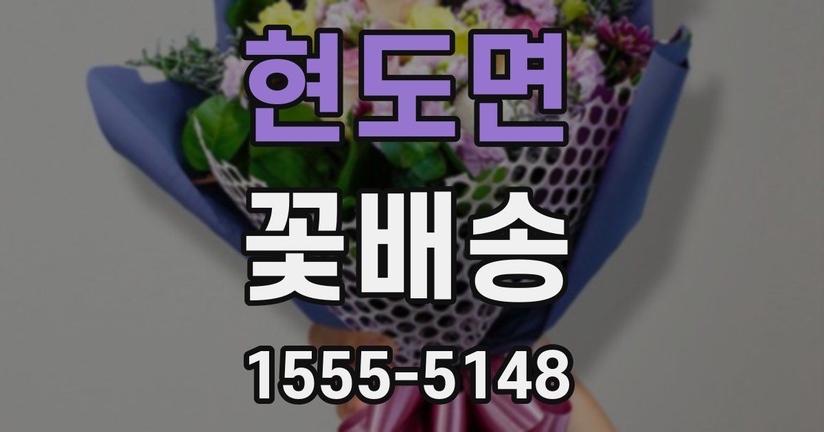 현도면 꽃배송