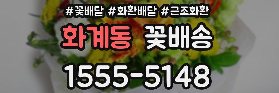 화계동 꽃배송
