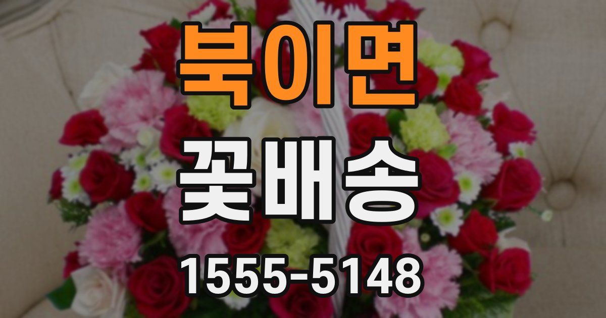 북이면 꽃배송