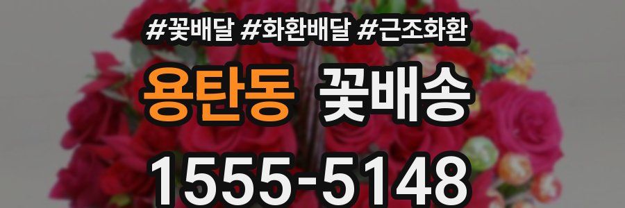 용탄동 꽃배송