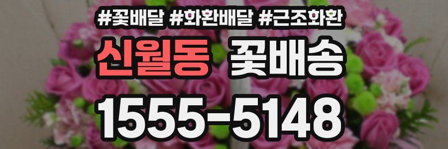 신월동 꽃배송