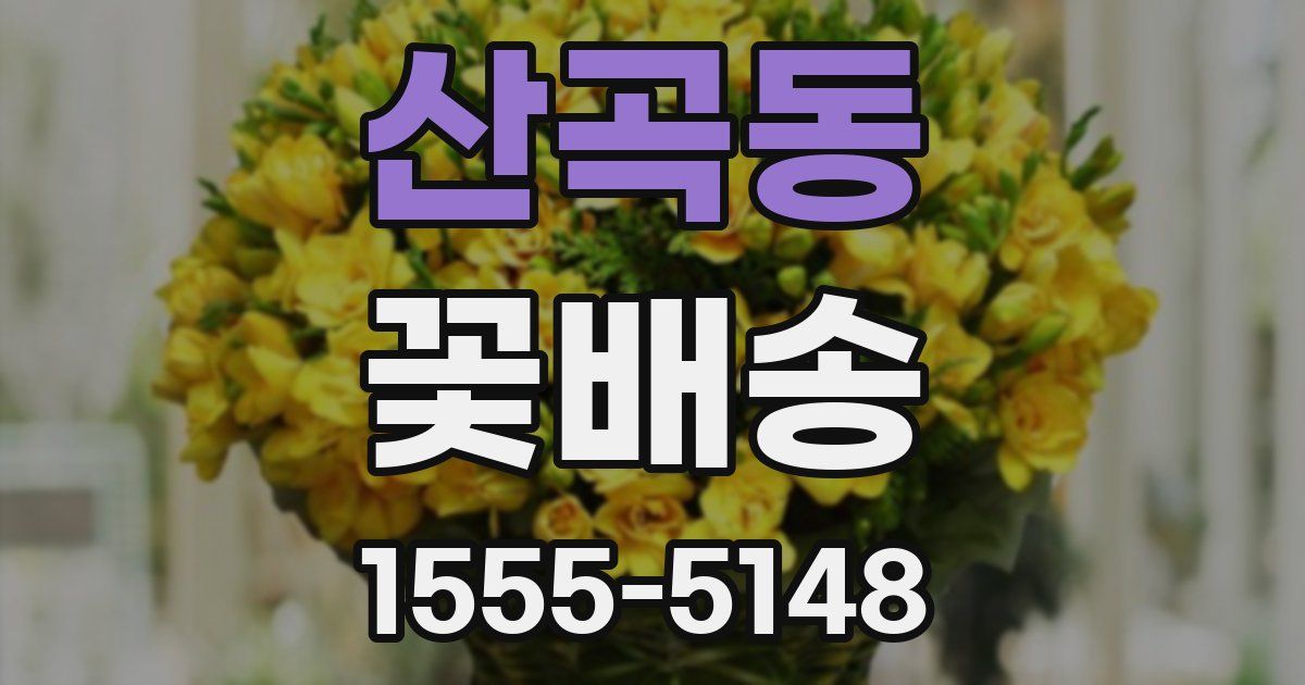 산곡동 꽃배송