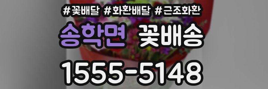 송학면 꽃배송