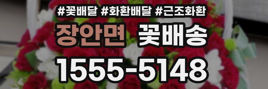 장안면 꽃배송