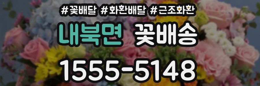 내북면 꽃배송