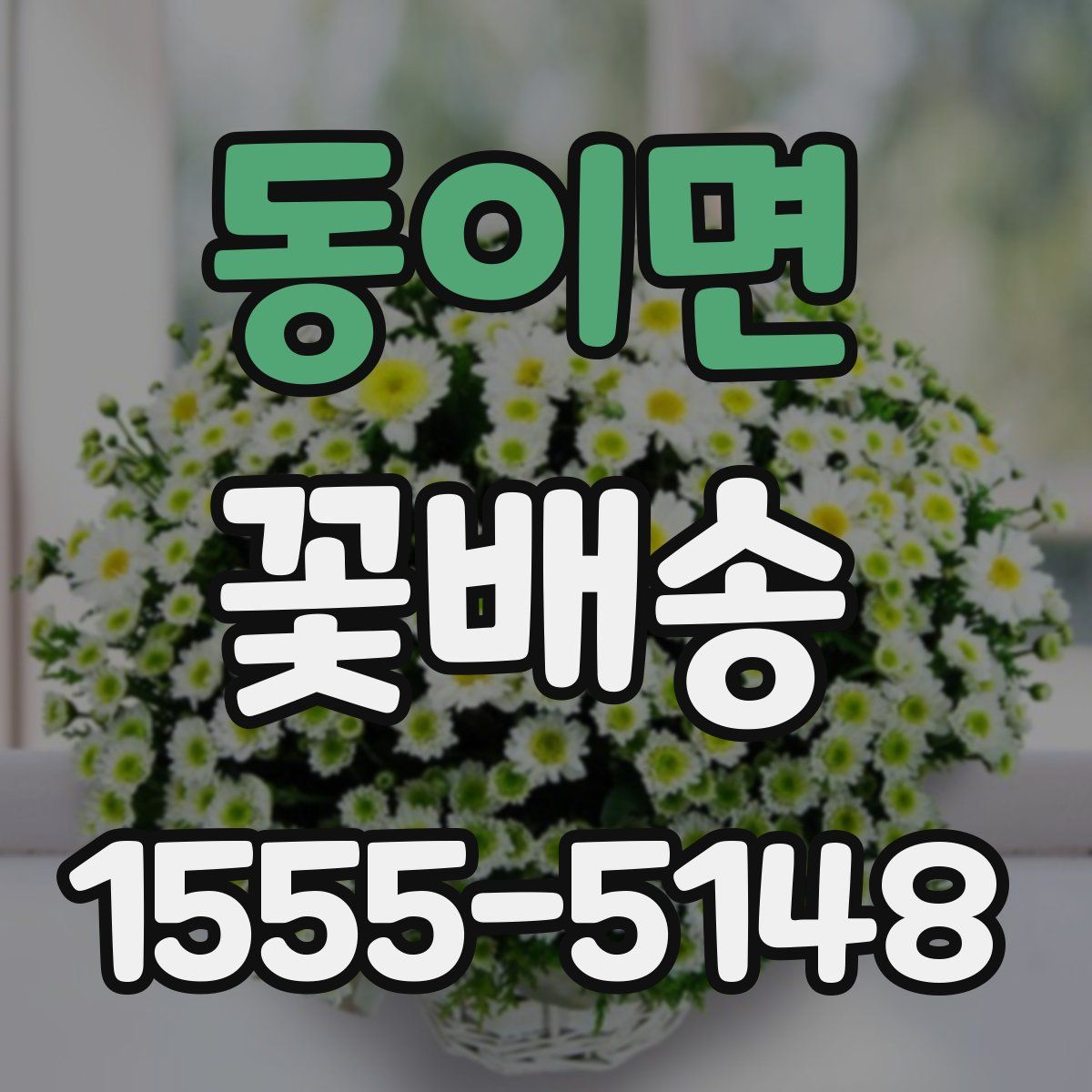동이면 꽃배송