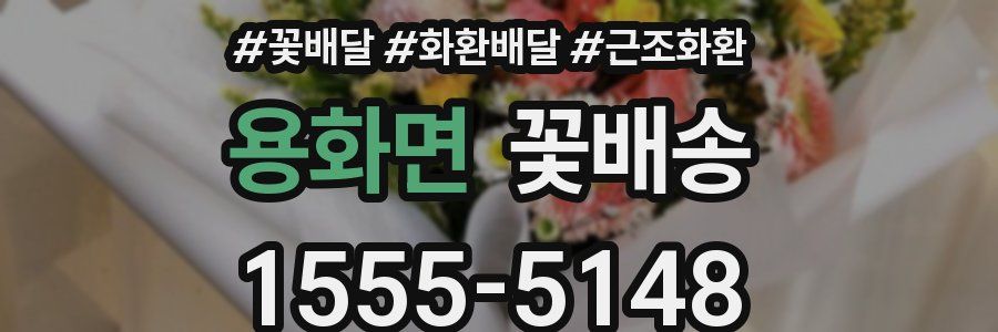 용화면 꽃배송