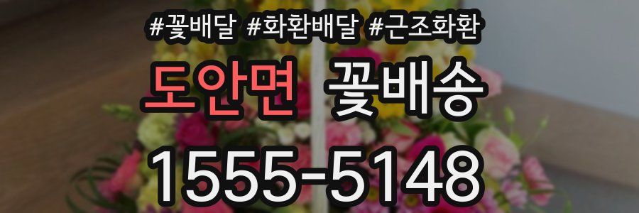 도안면 꽃배송