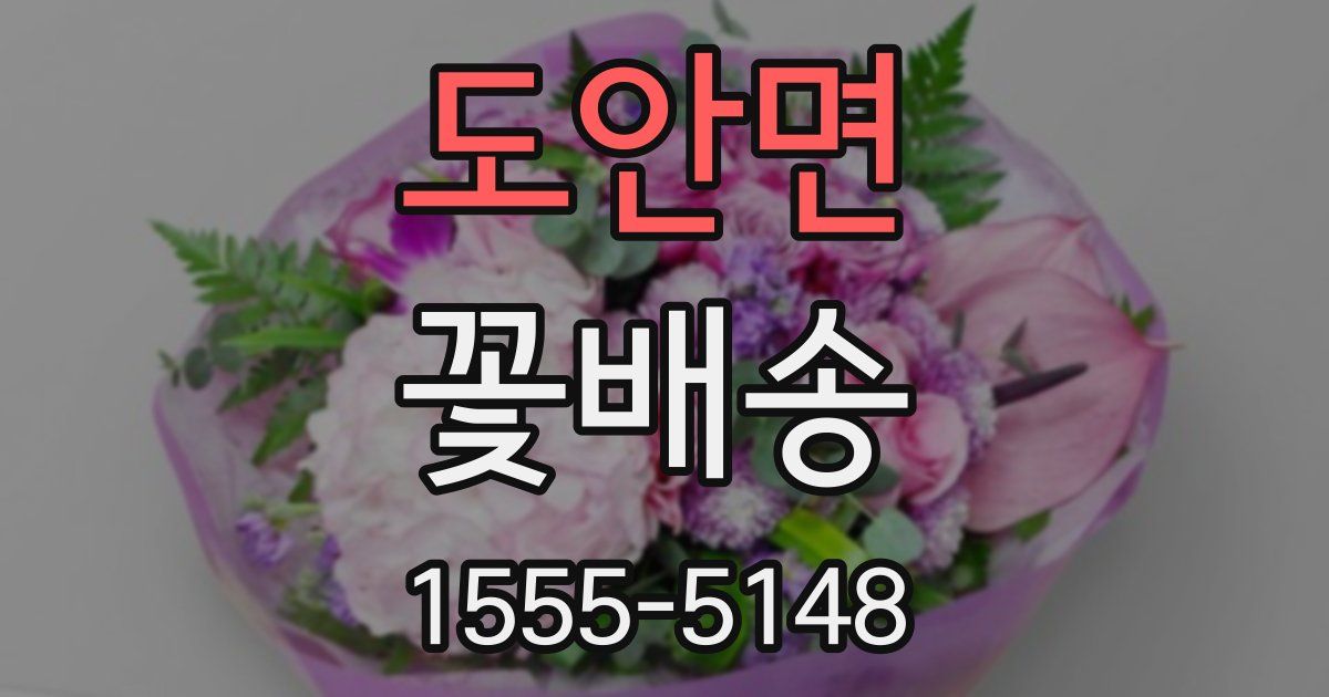 도안면 꽃배송
