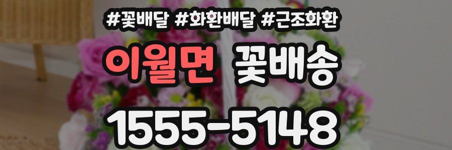 이월면 꽃배송