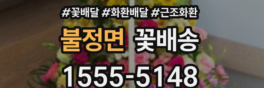 불정면 꽃배송