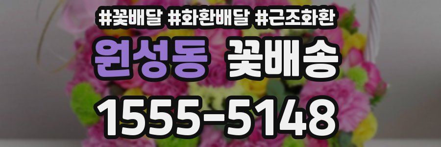 원성동 꽃배송
