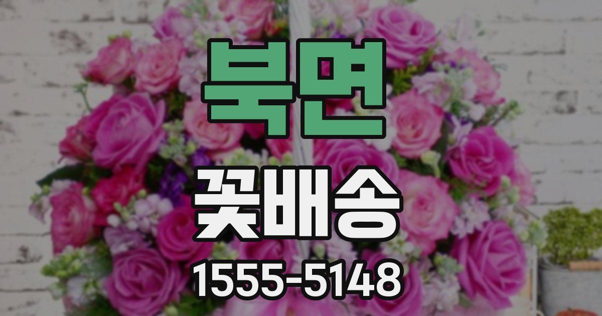 북면 꽃배송