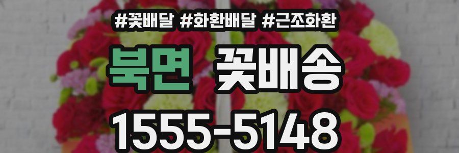 북면 꽃배송