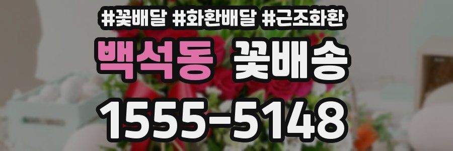 백석동 꽃배송